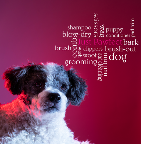 Dog Grooming Parlour Personalised, Branded Word Cloud Wall Sticker