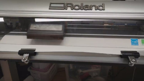 Reusable Dinosaur Height Chart Wall Sticker, Kid's Height Chart, Family Height Chart Wall Decal