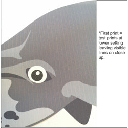 Whale Wall Stickers | Sea Themed Decor | Half Price Sale