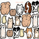 Fur Ever Friends Fabric Wall Stickers - Adorable Cat & Dog Themed Home Decor