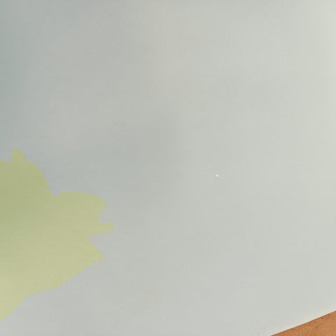 damage on a half price wall sticker