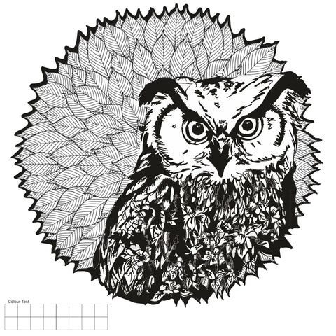 Colour Me Wildlife Wall Sticker, Owl Colouring In Fabric Decal