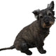 Reusable Your Pet Wall Sticker, Personalised Wall Stickers Of Your Pet, Dog, Cat, Hamster....any pet!