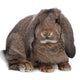 Reusable Your Pet Wall Sticker, Personalised Wall Stickers Of Your Pet, Dog, Cat, Hamster....any pet!