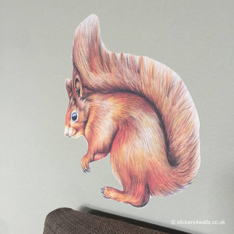 Squirrel Wall Sticker, Squirrel Wall Decal, Squirrel Wall Art, Original Watercolour Squirrel Decal, Wildlife Wall Art, Squirrel Illustration