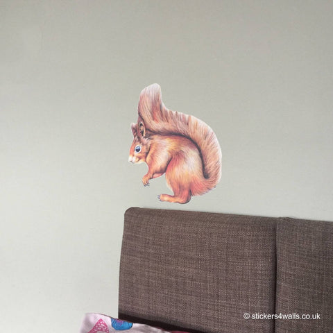 Squirrel Wall Sticker, Squirrel Wall Decal, Squirrel Wall Art, Original Watercolour Squirrel Decal, Wildlife Wall Art, Squirrel Illustration