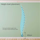 Sea World Height Chart Wall Sticker - Reusable