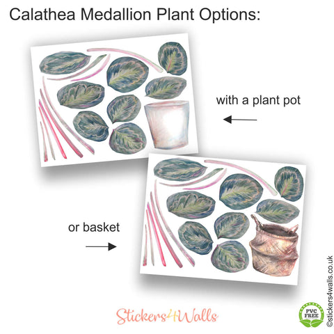 Reusable Calathea Medallion Plant Wall Sticker, Original Watercolour Life Size Plant Wall Art, Botanical Decals