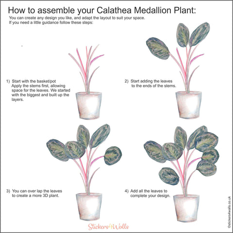Reusable Calathea Medallion Plant Wall Sticker, Original Watercolour Life Size Plant Wall Art, Botanical Decals