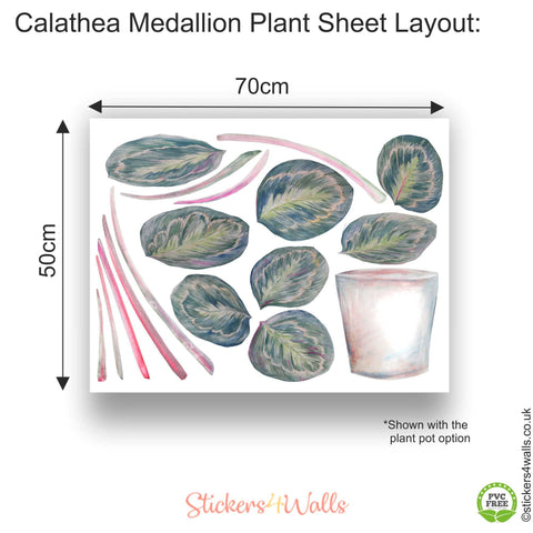 Reusable Calathea Medallion Plant Wall Sticker, Original Watercolour Life Size Plant Wall Art, Botanical Decals