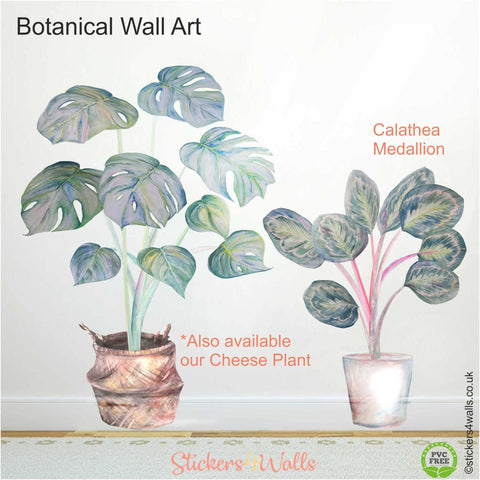Reusable Calathea Medallion Plant Wall Sticker, Original Watercolour Life Size Plant Wall Art, Botanical Decals