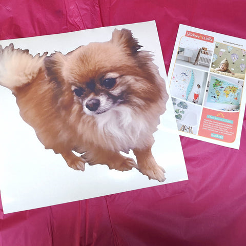 Reusable Your Pet Wall Sticker, Personalised Wall Stickers Of Your Pet, Dog, Cat, Hamster....any pet!