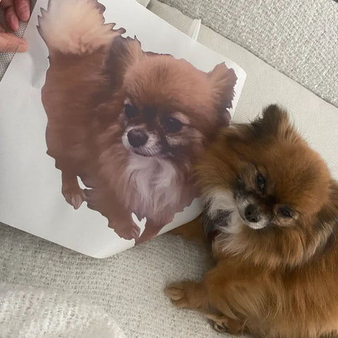 Reusable Your Pet Wall Sticker, Personalised Wall Stickers Of Your Pet, Dog, Cat, Hamster....any pet!